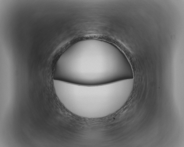 X0000112721351200908200938