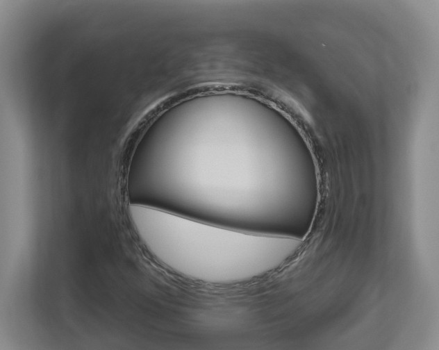X0000112721352200908200938