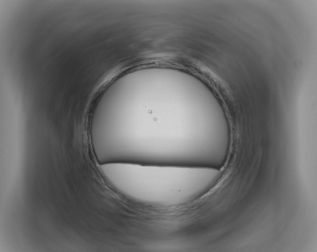 X0000112721354200908200938