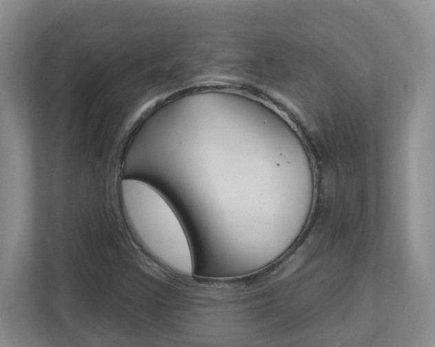 X0000112721355200908200938
