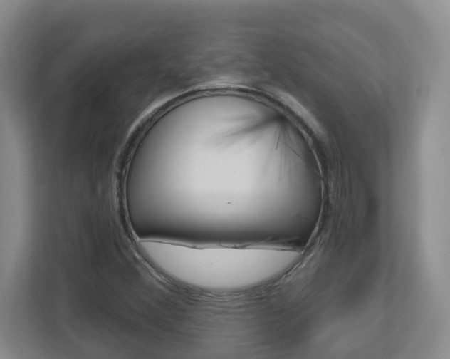 X0000112721356200908200938