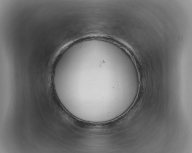 X0000112721359200908200938