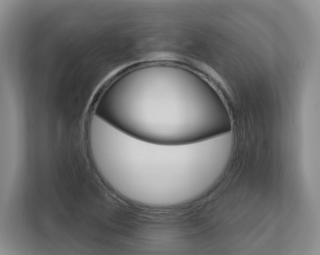 X0000112721364200908200938