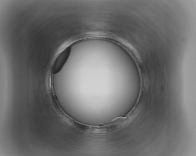 X0000112721365200908200938