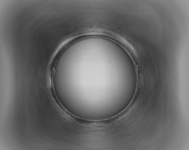 X0000112721368200908200938