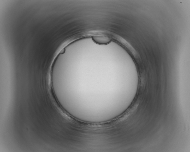 X0000112721370200908200938