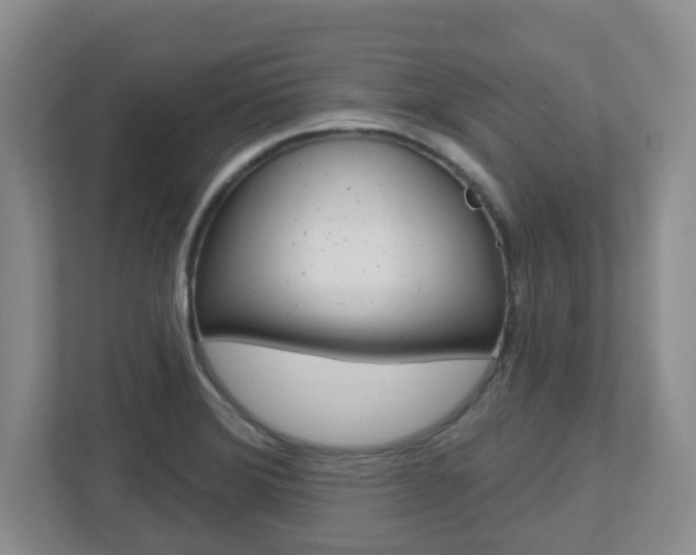 X0000112721372200908200938