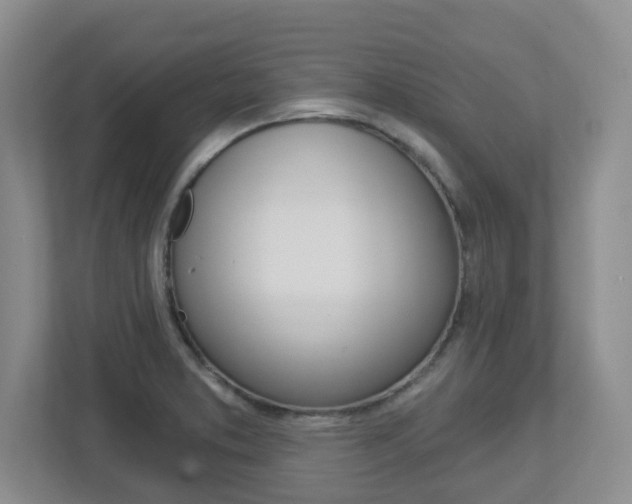 X0000112721373200908200938