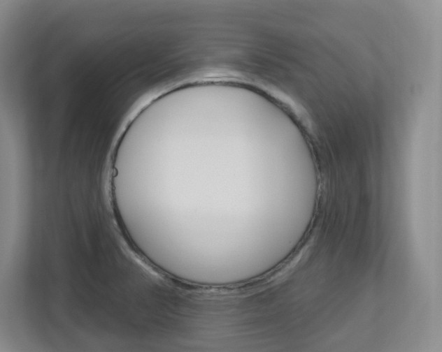 X0000112721374200908200938