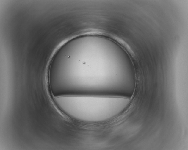 X0000112721375200908200938