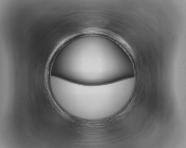 X0000112721376200908200938