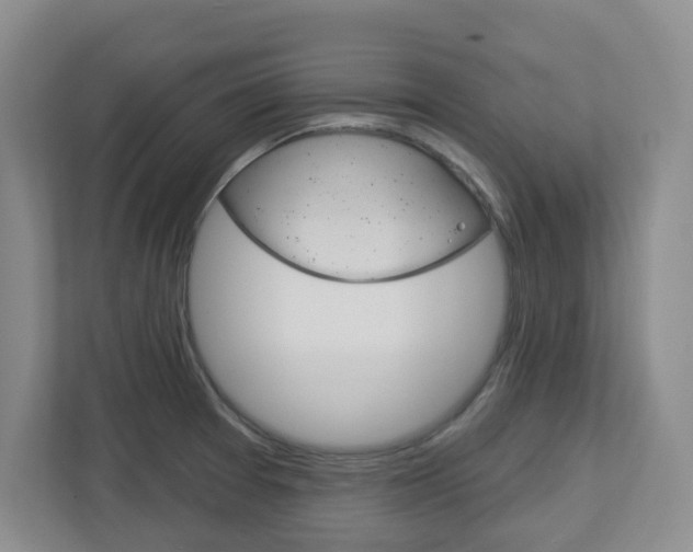 X0000112721377200908200938
