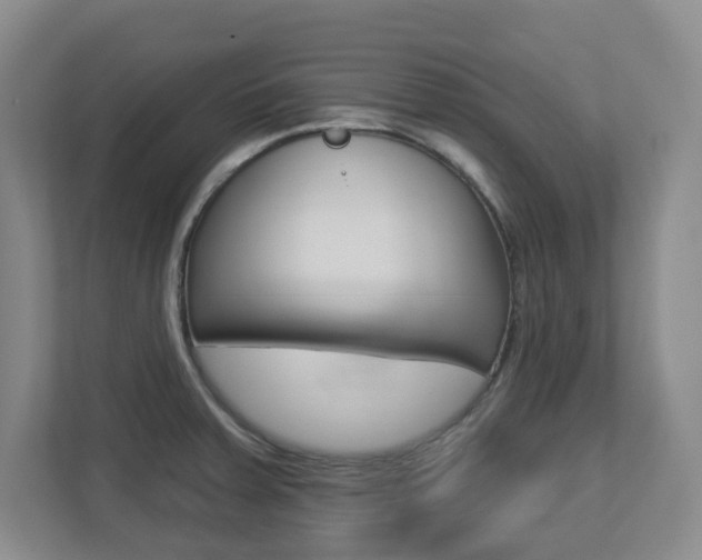 X0000112721379200908200938