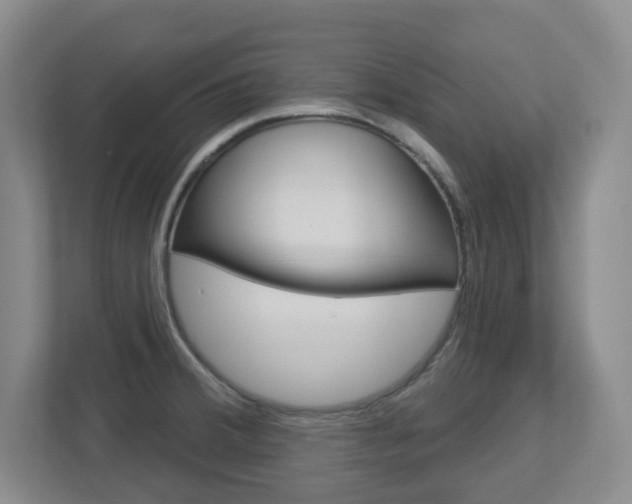 X0000112721380200908200938