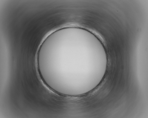 X0000112721382200908200938