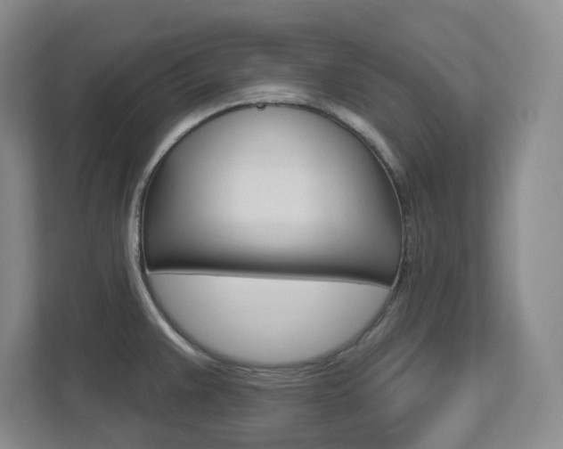 X0000112721383200908200938