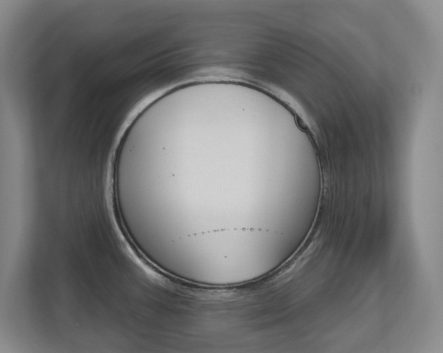 X0000112721387200908200938