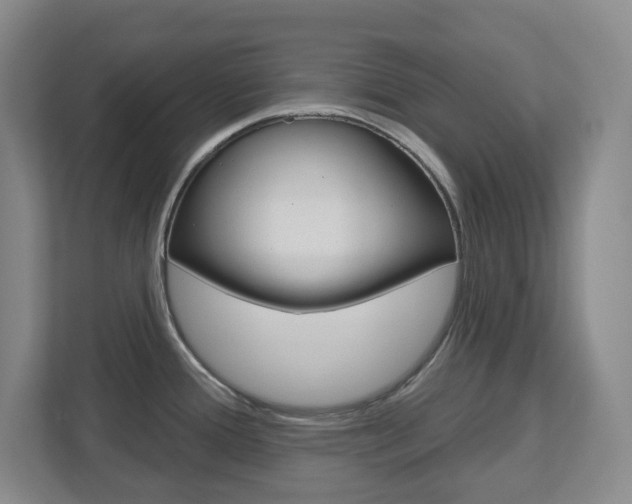 X0000112721388200908200938