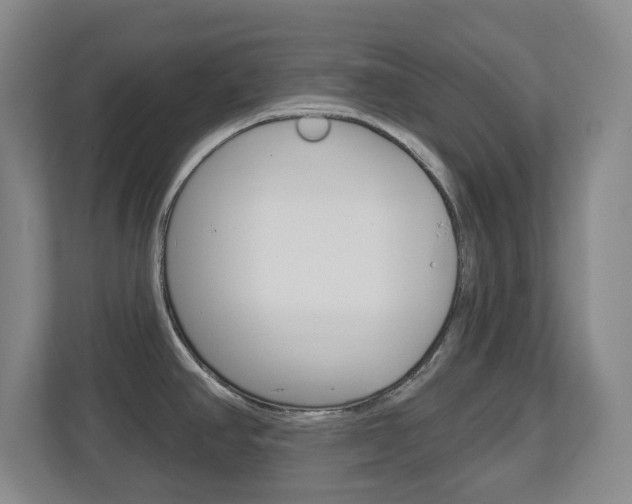 X0000112721390200908200938