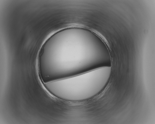 X0000112721391200908200938