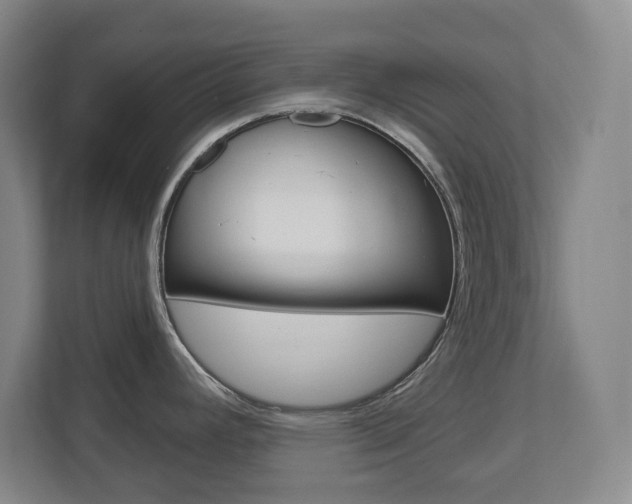 X0000112721392200908200938