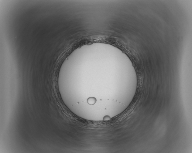X0000112721393200908200937