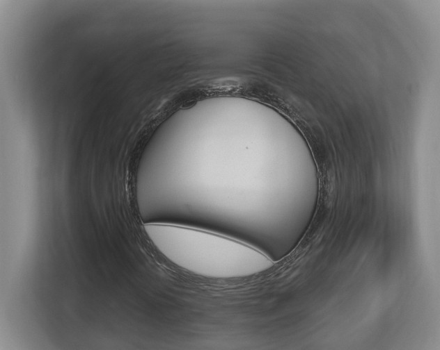 X0000112721394200908200937