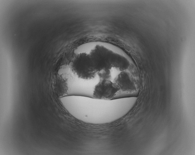 X0000112721397200908200937