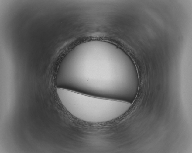 X0000112721398200908200937