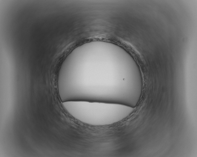 X0000112721399200908200937