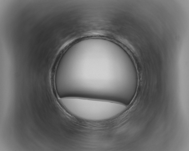 X0000112721404200908200937