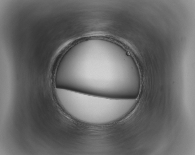 X0000112721406200908200937