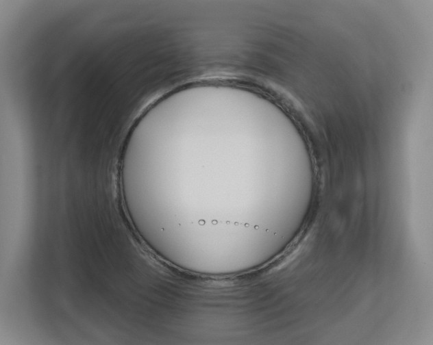 X0000112721409200908200937