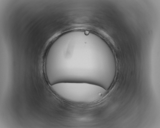 X0000112721411200908200937