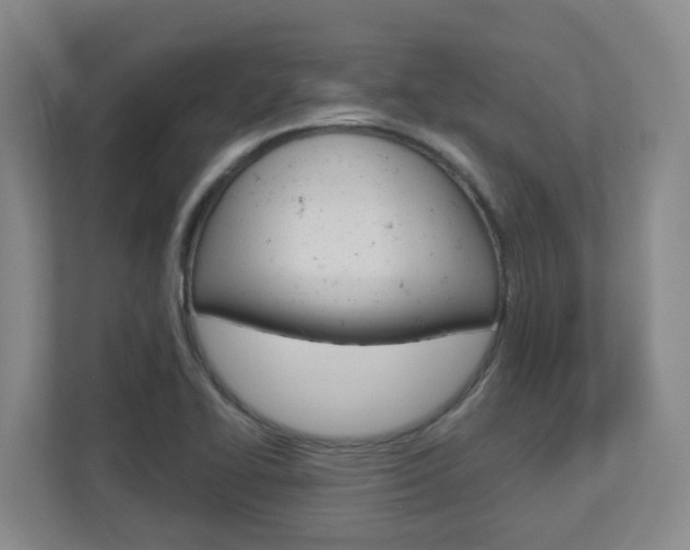 X0000112721414200908200937