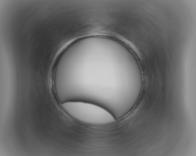 X0000112721415200908200937
