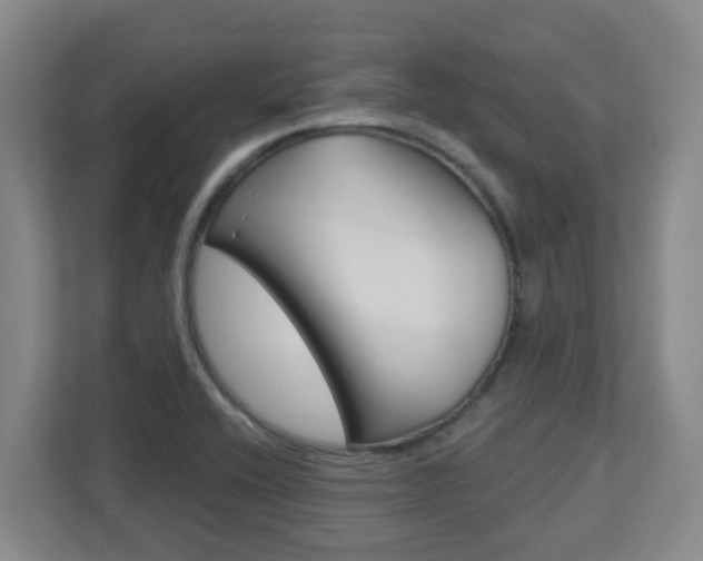 X0000112721416200908200937