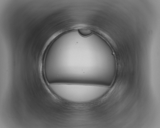 X0000112721418200908200937