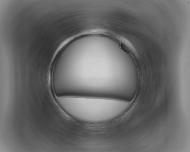 X0000112721420200908200937