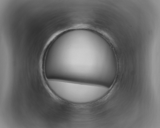 X0000112721422200908200937