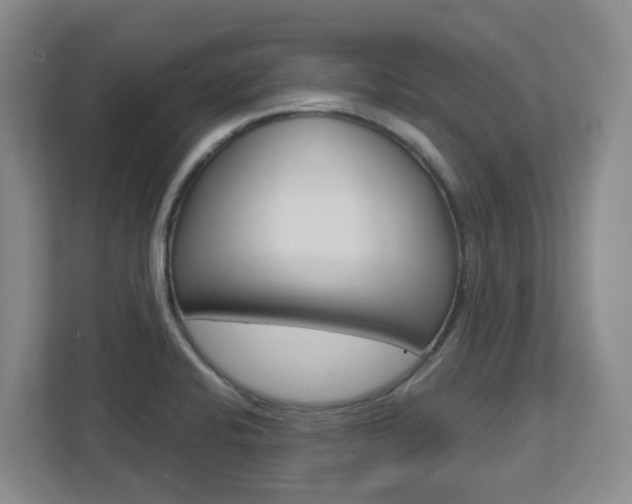 X0000112721424200908200937