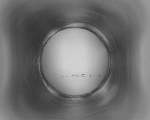 X0000112721425200908200937