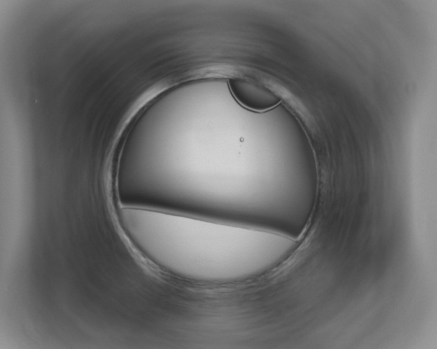 X0000112721426200908200937