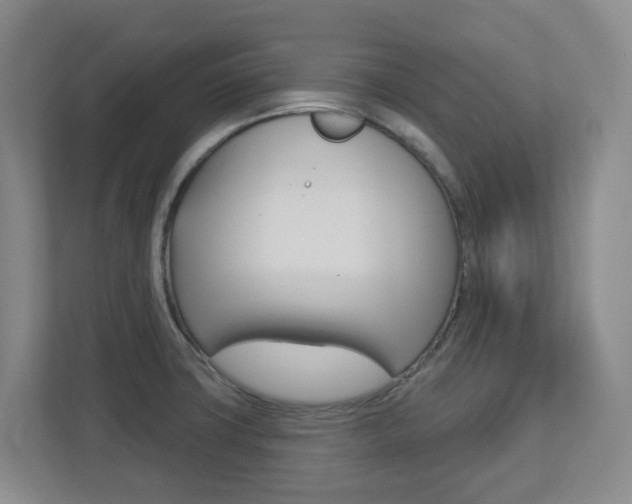 X0000112721427200908200937