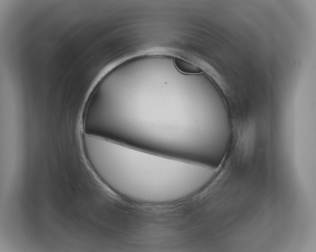 X0000112721428200908200937