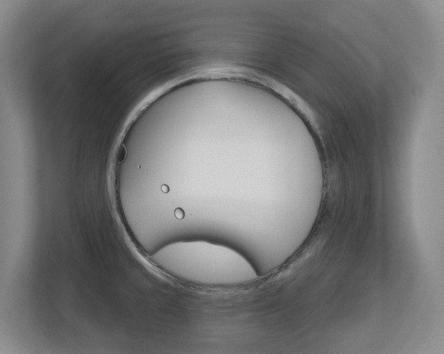 X0000112721429200908200937