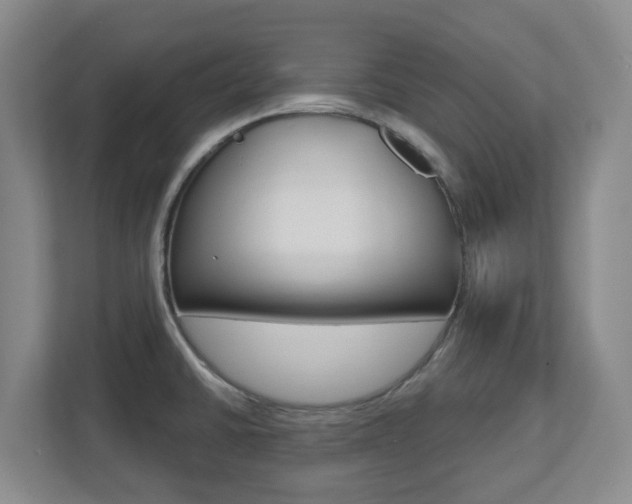 X0000112721430200908200938