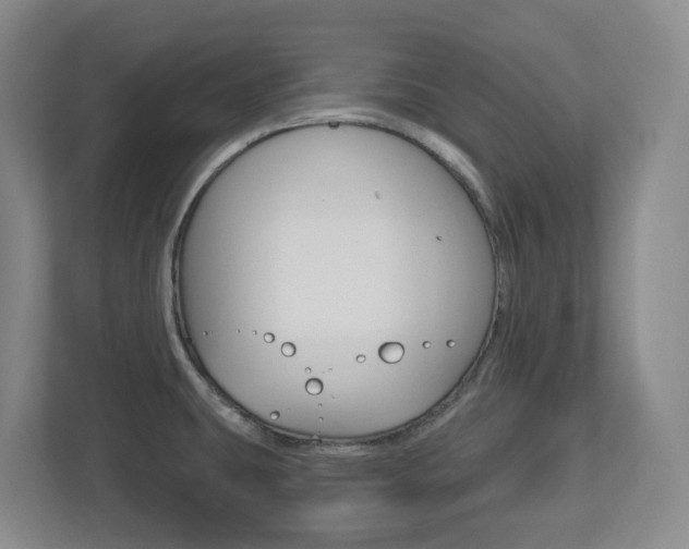 X0000112721431200908200938