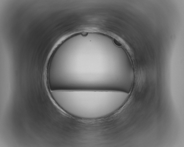 X0000112721432200908200938
