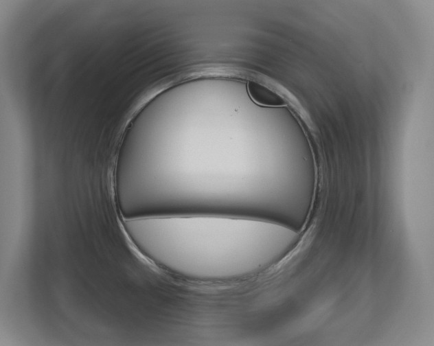 X0000112721433200908200938